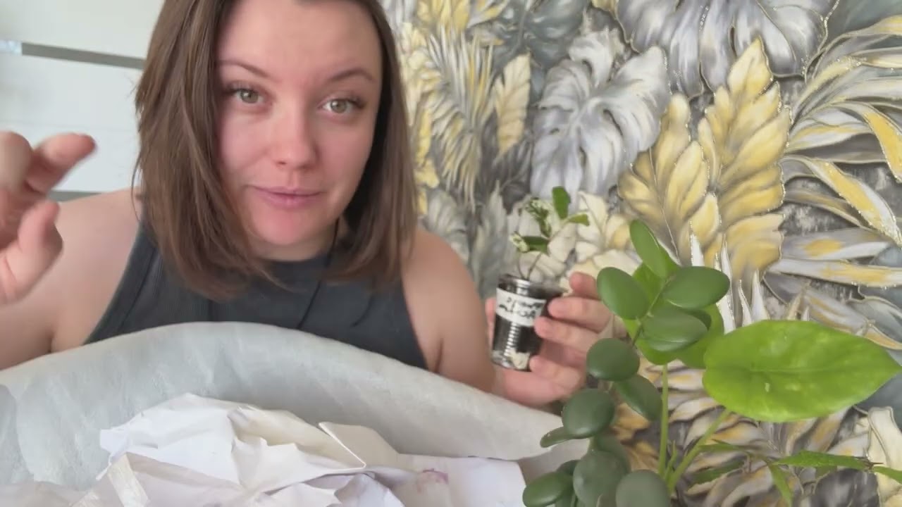 РАСПАКОВКА РЕДКИХ РАСТЕНИЙ💫возрождаю свою коллекцию 🧚🏻