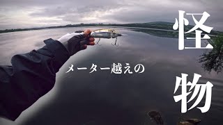 【アーマジョイントが… 】本気で狙いに来たメーター越えの怪物 River Monster PIKE Fishing in Ireland