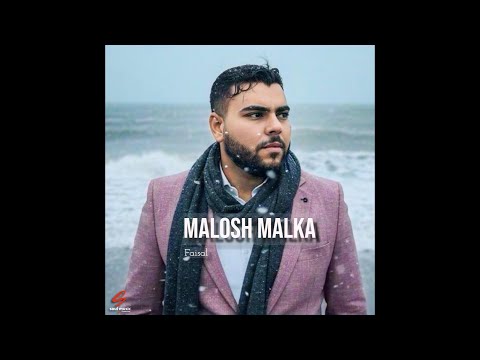    فيصل مالوش مالكة