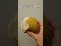 Top 5 Japanese Luxury Fruit