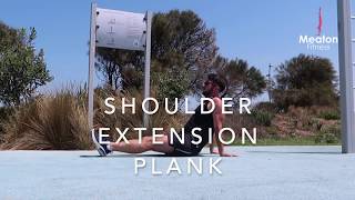 Shoulder Extension Plank