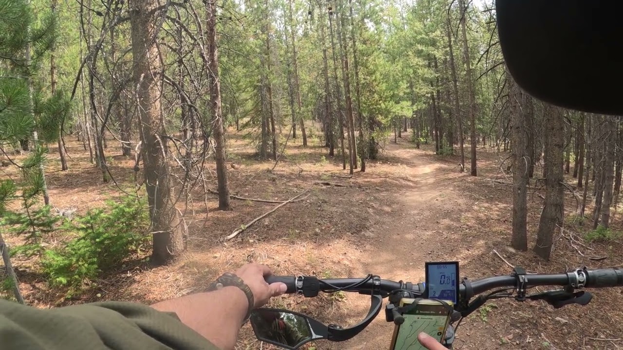 MOUNTAIN BIKE MAN ONE OFF 29ER MAXXIS MINION DHF MAXIMUM TRACTION GROUND CLEARANCE BIG SKY REAL UNCU