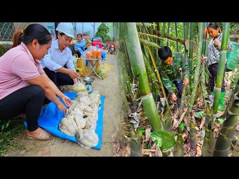 Young CEO Leaves the City for the Forest: Harvesting Bamboo Shoots with a Rural Girl to Sell.