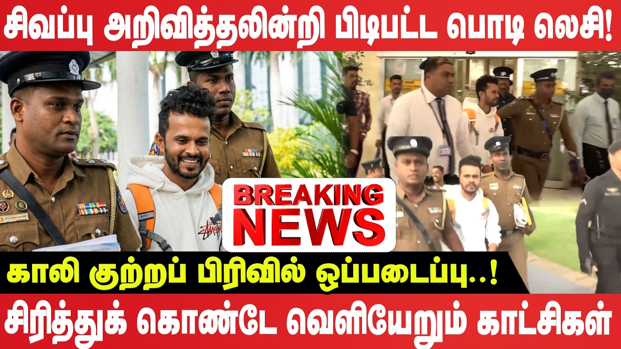 🔴BREAKING: கட்டுநாயக்கவில் பரபரப்பு: மும்பையிலிருந்து அதிரடியாக கொண்டுவரப்பட்ட ‘Podi Lassie’!