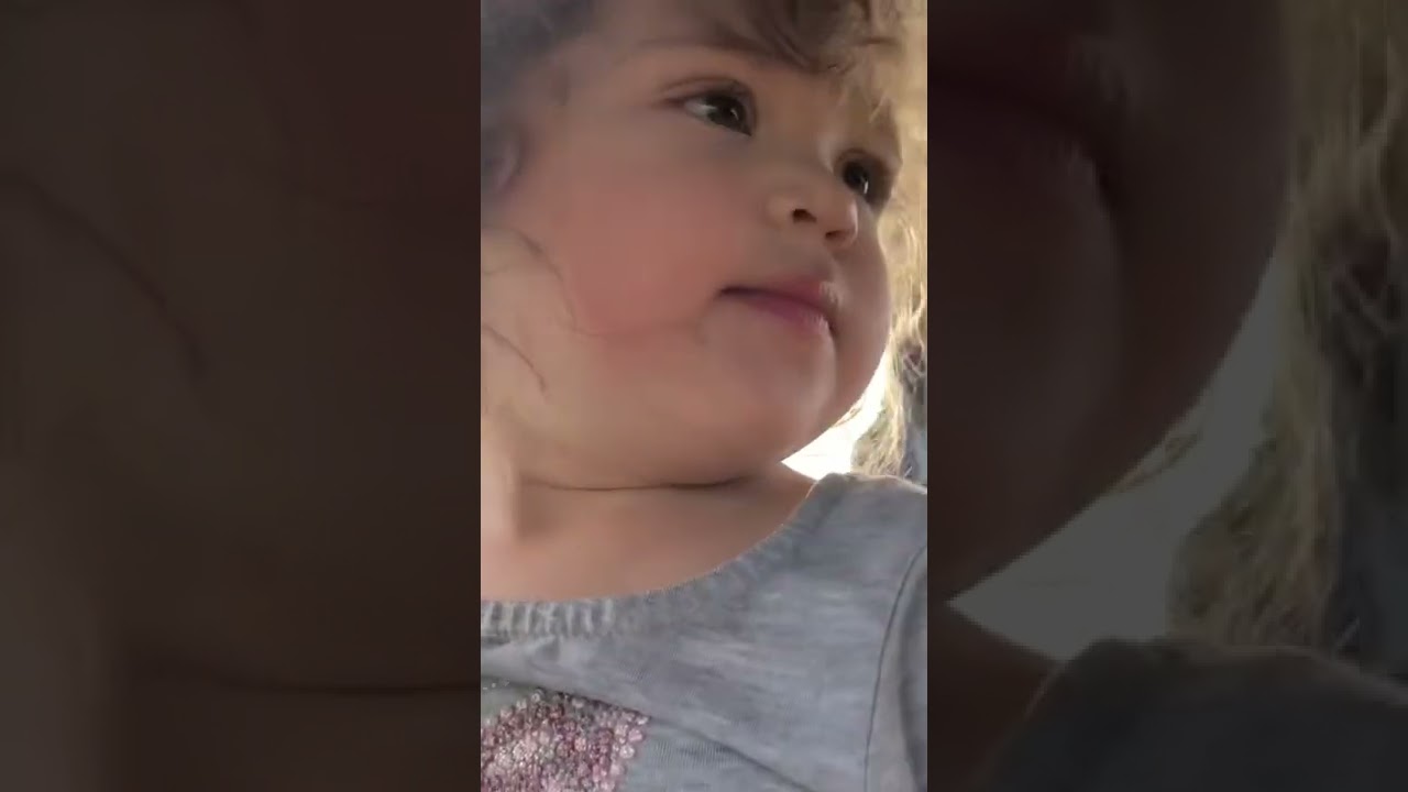 Our Toddler sees our Goats for the first time!!! YouTube