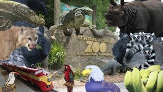Central Florida Zoo (USA) Family Tour 2019 in Hindi| अमेरिका का चिड़िया घर कैसा होता है
