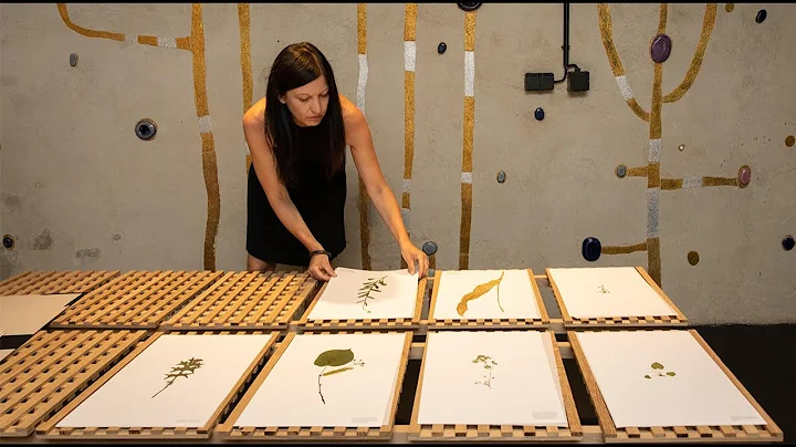 Artist Talk : Anita Fuchs in conversation with ISC...