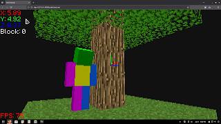 voxel engine with custom software renderer
