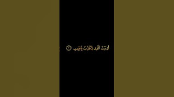 ماهر المعيقلي سورة الماعون