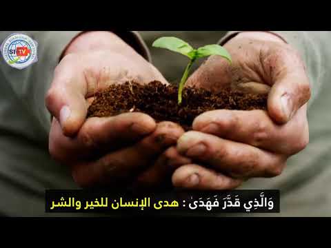 აიათი და ჰადისი ყოველდღიურად - 29 იანვარი, 2021