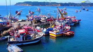 Caleta Tumbes -Región del Bío Bío - por: Tequierocaleta.cl