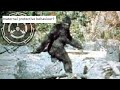 The Patterson-Gimlin Film: An Analysis Of Behaviour