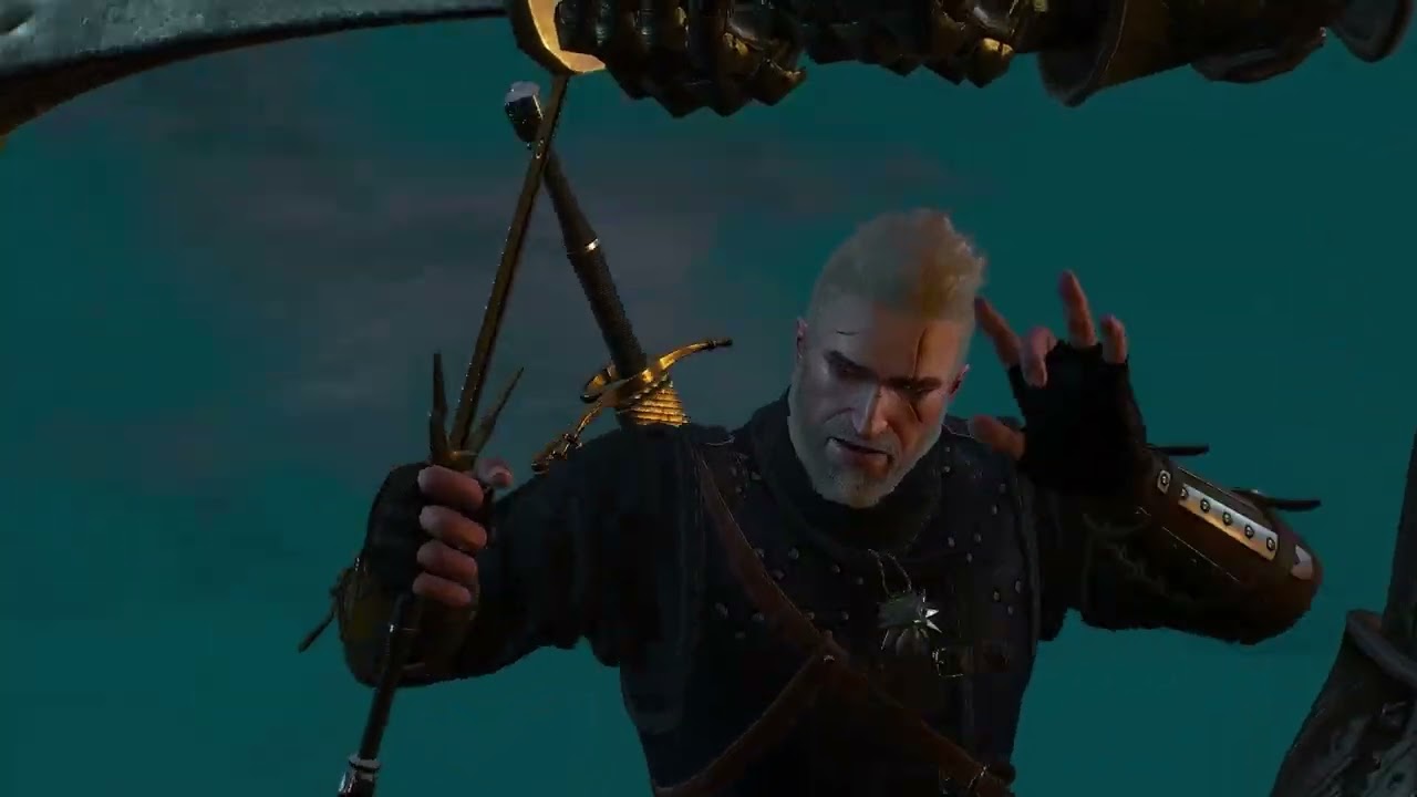 The Witcher 3 finishers