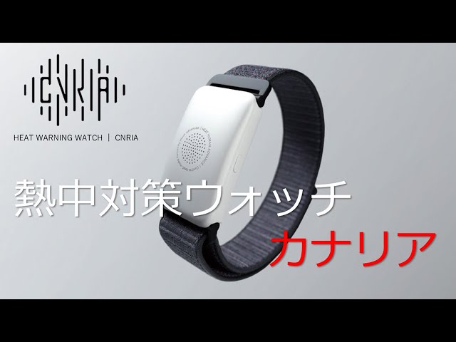 熱中対策ウォッチ カナリア 2022年 リスクを事前に知る新しい熱中対策