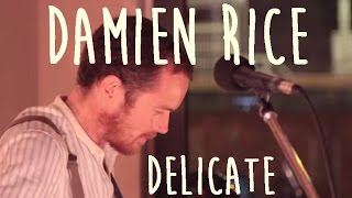 Damien Rice - Delicate (Subtítulos en Español)