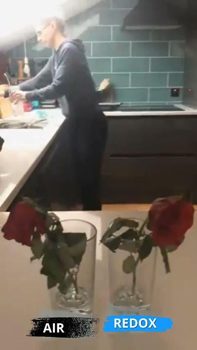 KAMU HARUA LIHAT BAGAIMANA 'PERUBAHAN BUNGA LAYU Di BERIKAN REDOX SINYAL MOLEKUL'