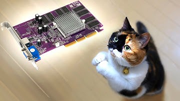 Budget Geforce Cards for the Poor (1999-2008) | #GPUJune2