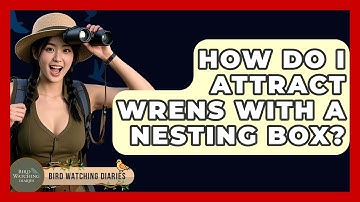 How Do I Attract Wrens With A Nesting Box? - Bird Watching Diaries