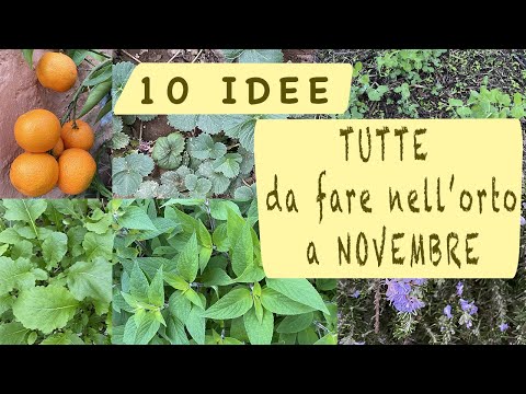 Video: Attività di giardinaggio autunnali: lavori per novembre nel nord-est