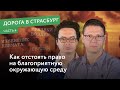 Павел Чиков и Кирилл Коротеев — о том, как отстоять право на благоприятную окружающую среду