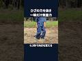 ひざの力を抜き　一瞬だけ無重力　0.3秒で向きを変える　#shorts #江戸時代の歩き方 #膝抜き #無重力