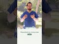 ¿Por qué se da tanta obesidad en nuestras mascotas?
