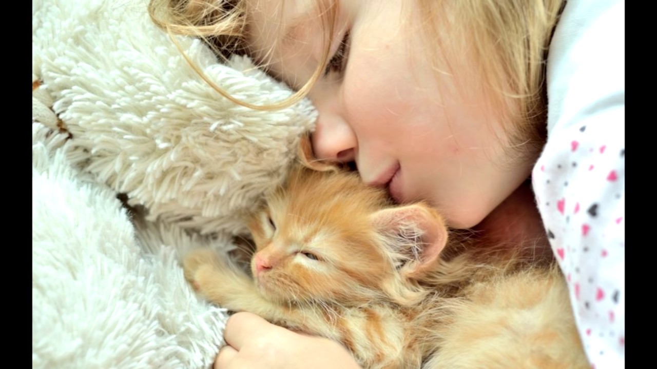 Виктория Андрианова - Пушок - YouTube