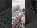 टुकड़ियों पर पानी कब डालना चाहिए