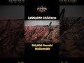 1,000,000 Chickens Revolt Against 100,000 Ronald McDonalds