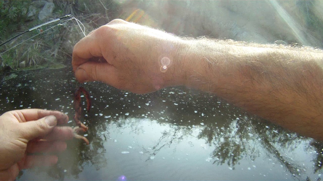 Fishing for Catfish and Bluegill In Southern California Ventura County