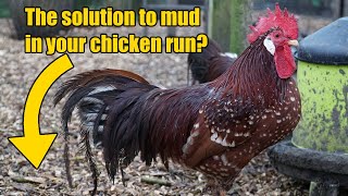 How to deal with mud in your chicken coop