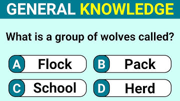 How Good Is Your General Knowledge? Take This 25 Question Quiz To Find Out! Trivia Quiz 86