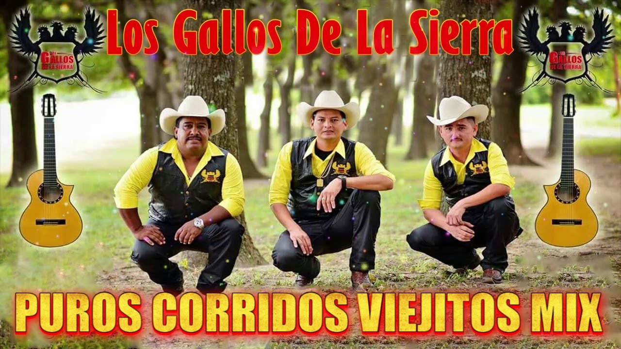 Los Gallos De La Sierra Las Mejor Exitos ~ Corridos y Rancheras Mix