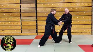 2 Person Flow Drill for the first half of Pinan Nidan Kata