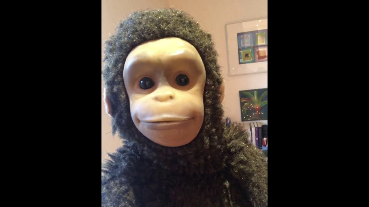 A fitting finale to 2020 YouTube