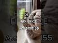 Смотри в любом магазине Fix Price или в мобильном приложении по артикулу: 6100155 #wb