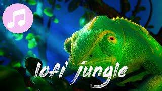 relaxing lofi music & jungle sounds 🎵 beats to relax/study to