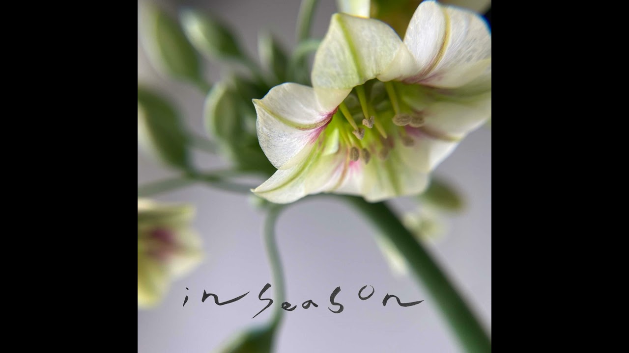【in season】#9 一日の始まりは「朝ごはん」にあり!トッピングが楽しいおかゆの世界、パン好き編集長の推しのお店、ホテルの朝食ビュッフェまで