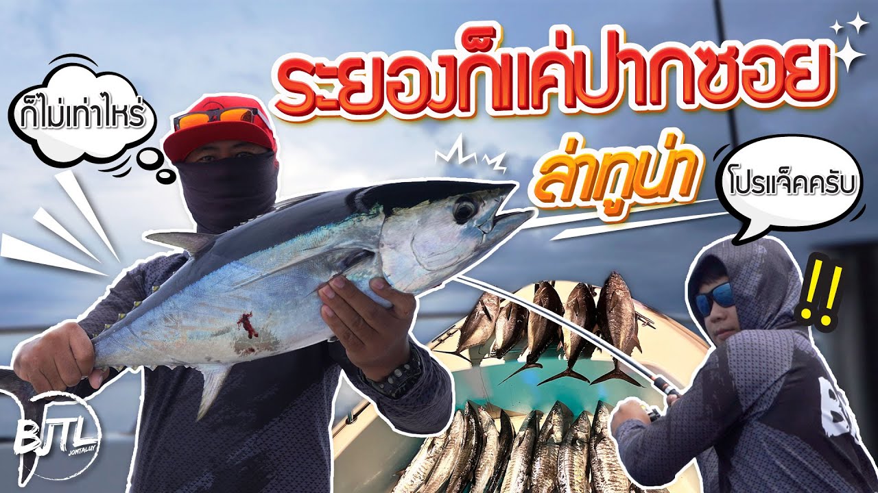 ปลาทูน่า อินทรีย์ ระยองก็มีนะคร๊าฟฟ กัดโคตรดุ  | BJTL JOMTALUY