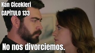 Kan Cicekleri (Flores de Sangre) Capitulo 133 - No nos divorciemos.