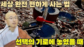 세상 완전 편하게 사는 법, 선택의 기로에 놓였을 때