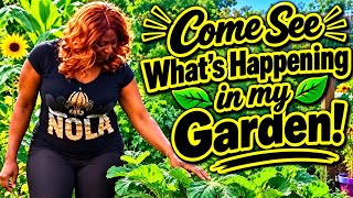 What I'm Doing In My Garden Today‼️ Growing Brassicas