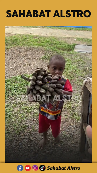 BOCAH PAPUA JALAN Jauh ke Rumah Suster Mau Minta Tukar Pisang Yang Dia Bawa Dengan Mie instan
