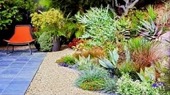 Cool 50 Southern California Landscaping Ideas I California Landscaping Ideas 