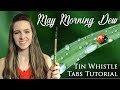 May Morning Dew - Tin Whistle Tabs Tutorial