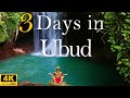 How to spend 3 days in ubud bali indonesia  travel itinerary