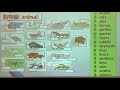 英語　中学校1年②（教科書P10～11）【さくら市学校教育課】