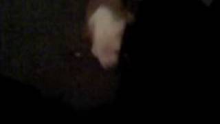 VID00042.3gp