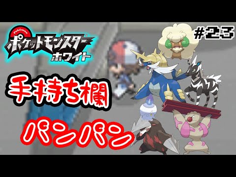 【ポケモンBW】初見で楽しみまくるポケットモンスターブラックホワイト！ #23【ぽんすけ】
