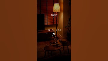 تلاوة ستشرح صدرك…سورة البقرة♡| #قرآن #تلاوة_خاشعة #ماهر_المعيقلي #راحة_نفسية #تابعوني #اكسبلور #لايك
